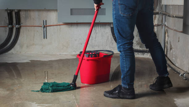 Best Water damage contractors near me  in Helemano, HI