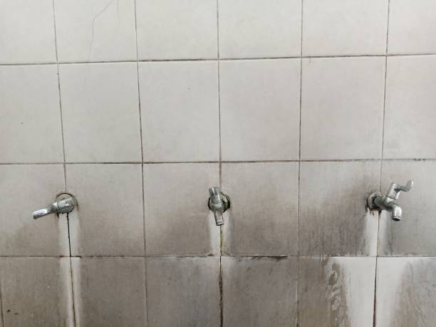 Best Commercial water damage restoration  in Helemano, HI