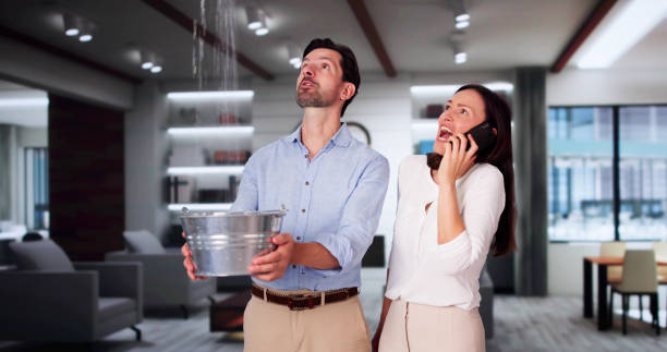 Best Water damage restoration specialists  in Helemano, HI