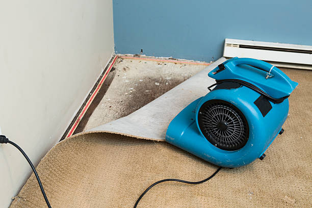 Best Basement water damage restoration  in Helemano, HI